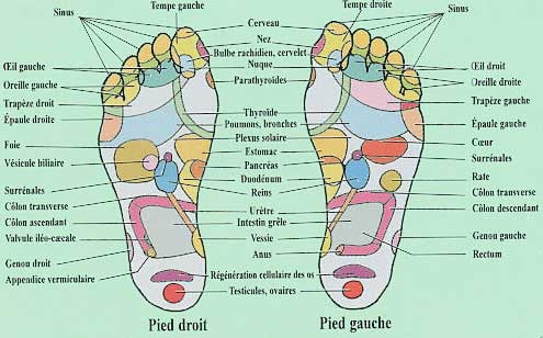 planche de reflexologie détaillée